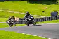 cadwell-no-limits-trackday;cadwell-park;cadwell-park-photographs;cadwell-trackday-photographs;enduro-digital-images;event-digital-images;eventdigitalimages;no-limits-trackdays;peter-wileman-photography;racing-digital-images;trackday-digital-images;trackday-photos